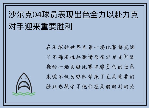 沙尔克04球员表现出色全力以赴力克对手迎来重要胜利